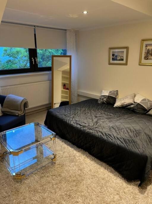 Zentrale Im Gruenen! Appartement *